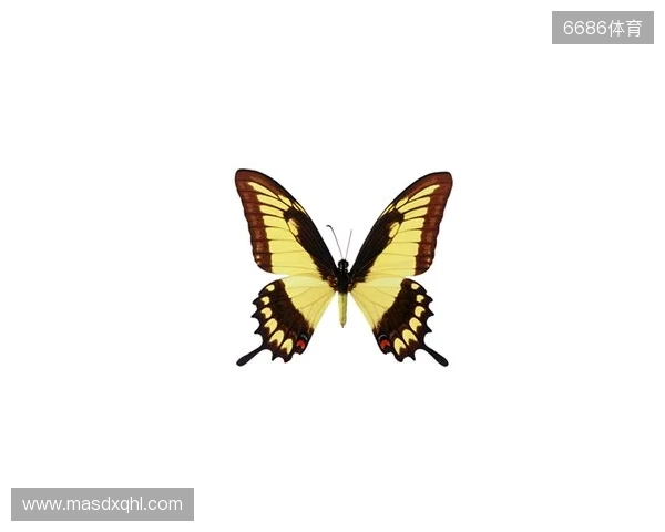 破茧成蝶：Legacy如何登顶南美、跻身世界顶尖行列